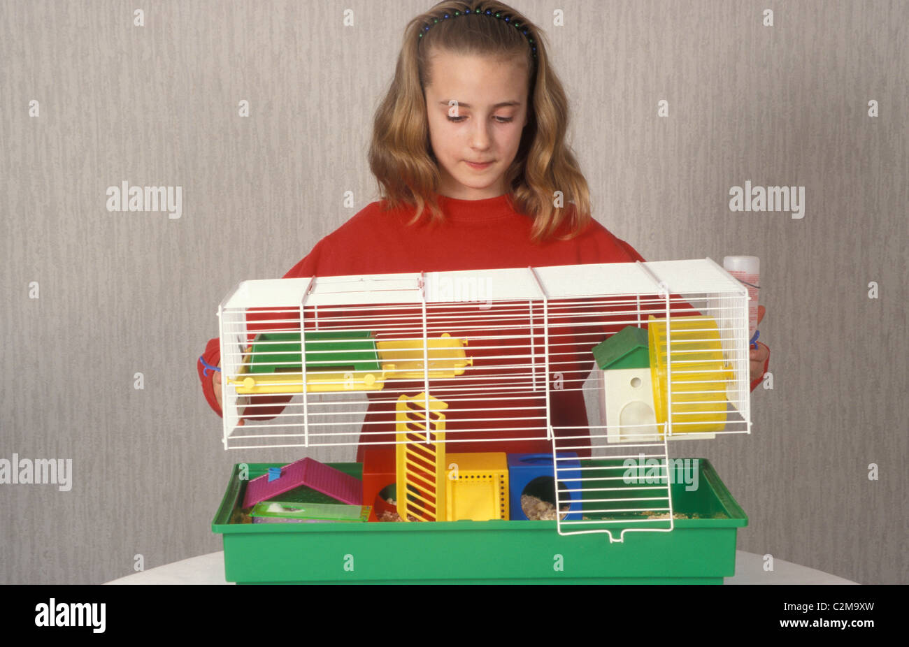 cleaning gerbil cage