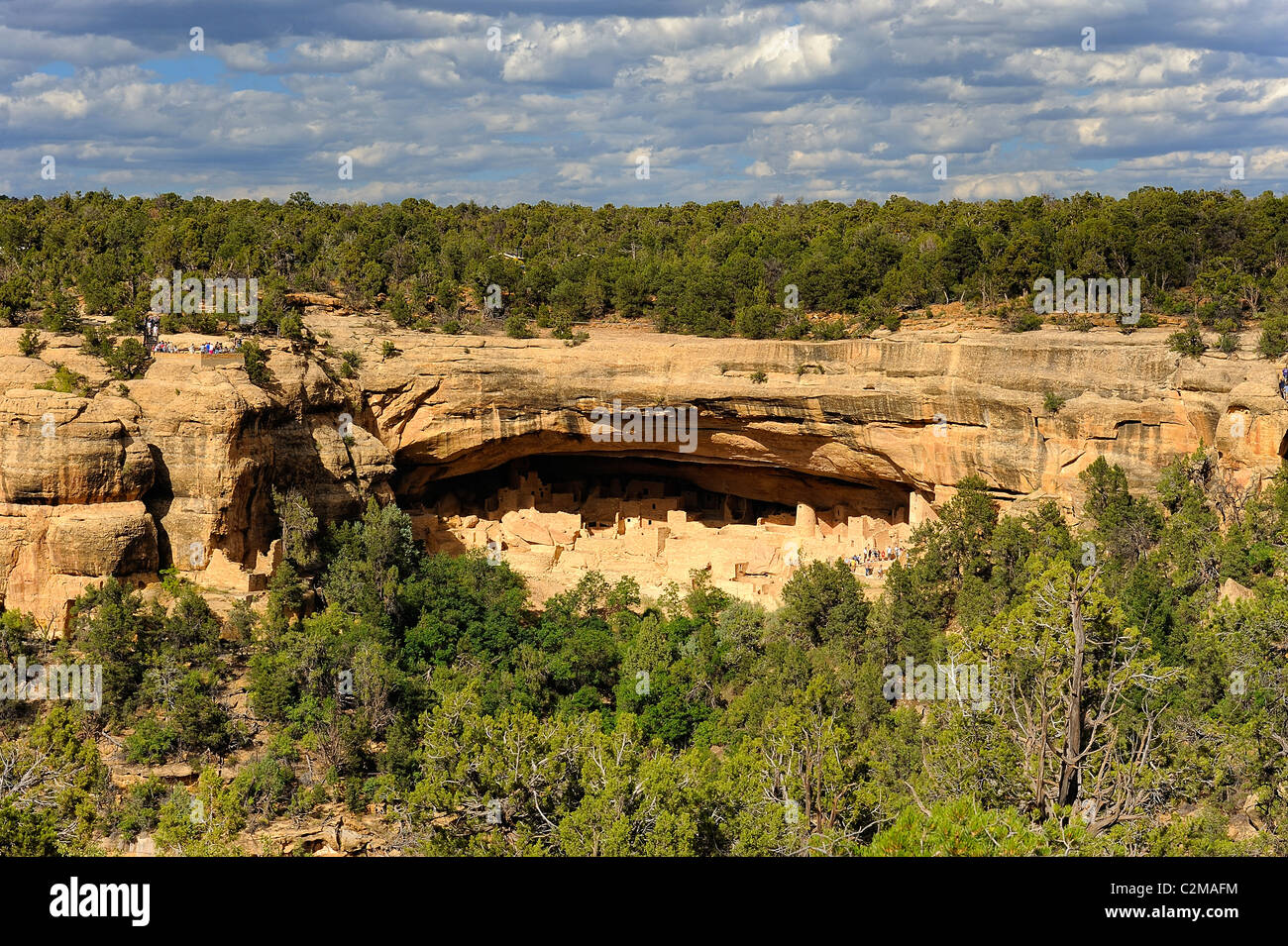 Cliff Palace, cliff dwelling in Mesa Verde National Park Stock Photo ...