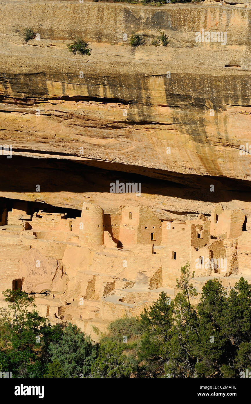 Cliff Palace, cliff dwelling in Mesa Verde National Park Stock Photo ...