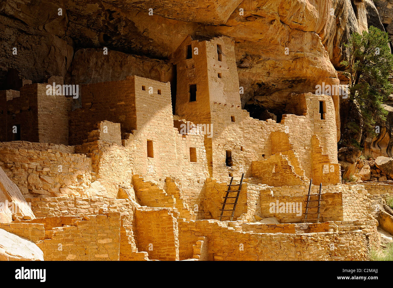 Cliff Palace, cliff dwelling in Mesa Verde National Park Stock Photo ...