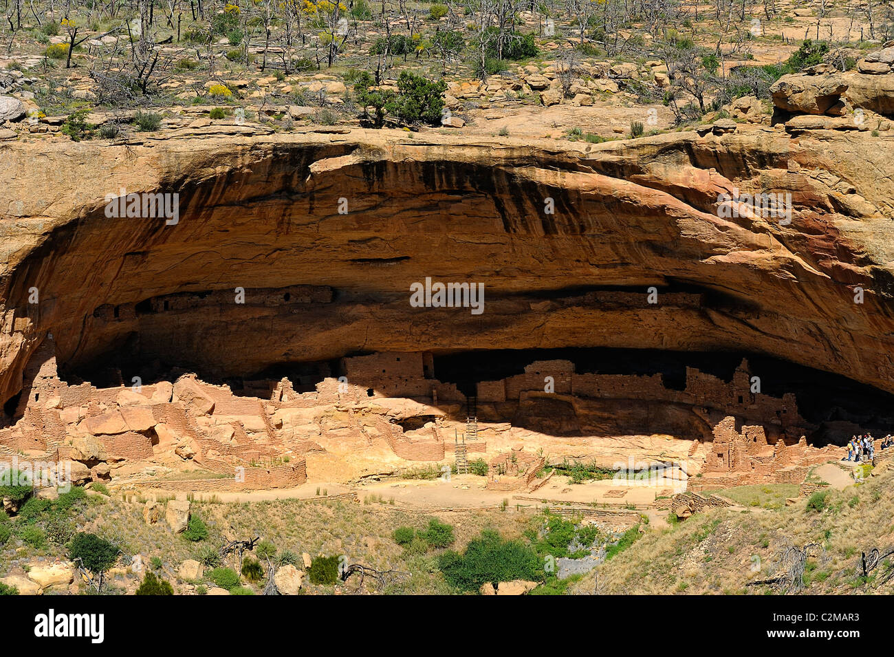 Long House, cliff dwelling in Mesa Verde National Park Stock Photo - Alamy