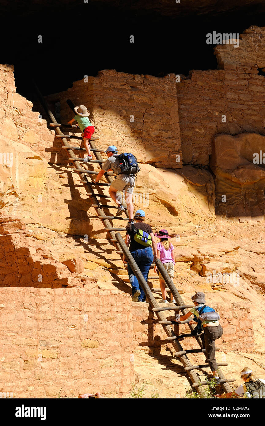Long House cliff dwelling in Mesa Verde National Park Stock Photo Alamy