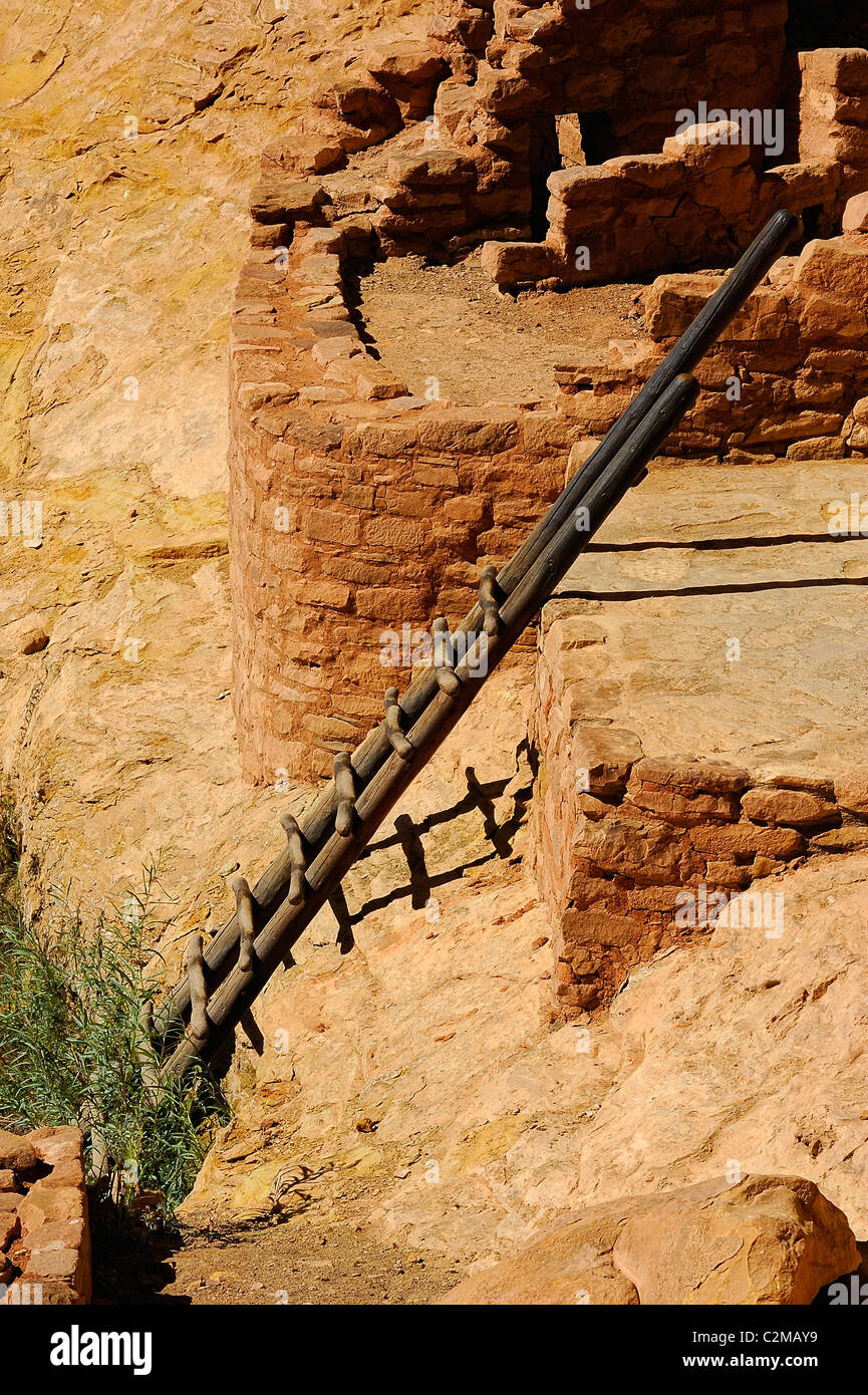 Long House, cliff dwelling in Mesa Verde National Park Stock Photo - Alamy