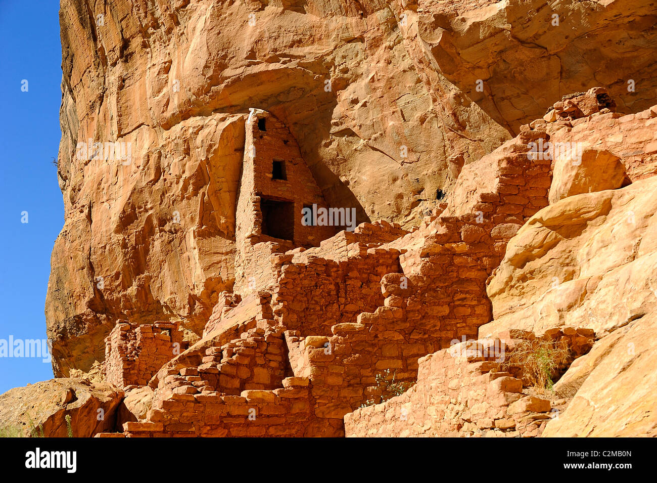 Long House, cliff dwelling in Mesa Verde National Park Stock Photo