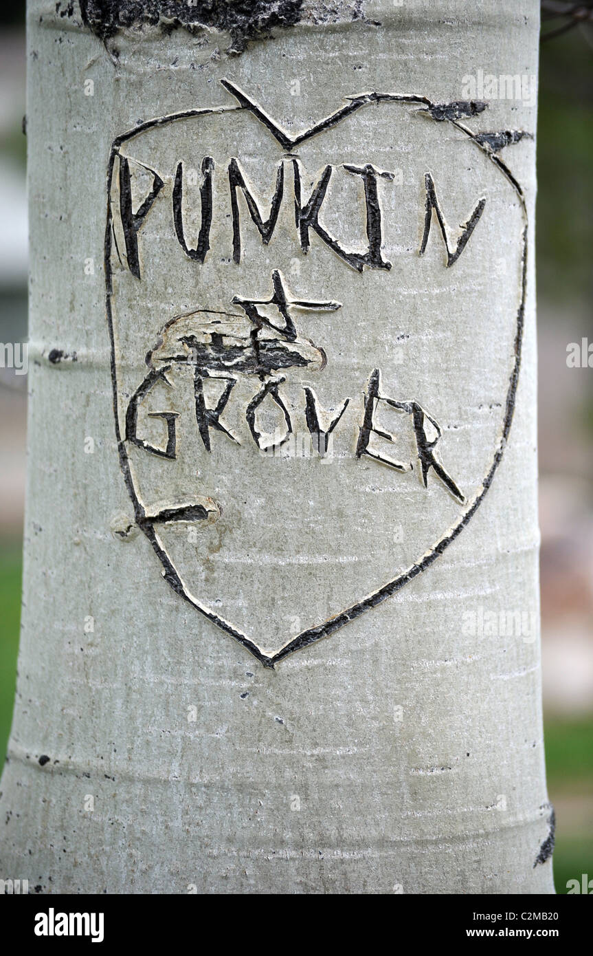 Heart and initials carved into tree trunk Stock Photo