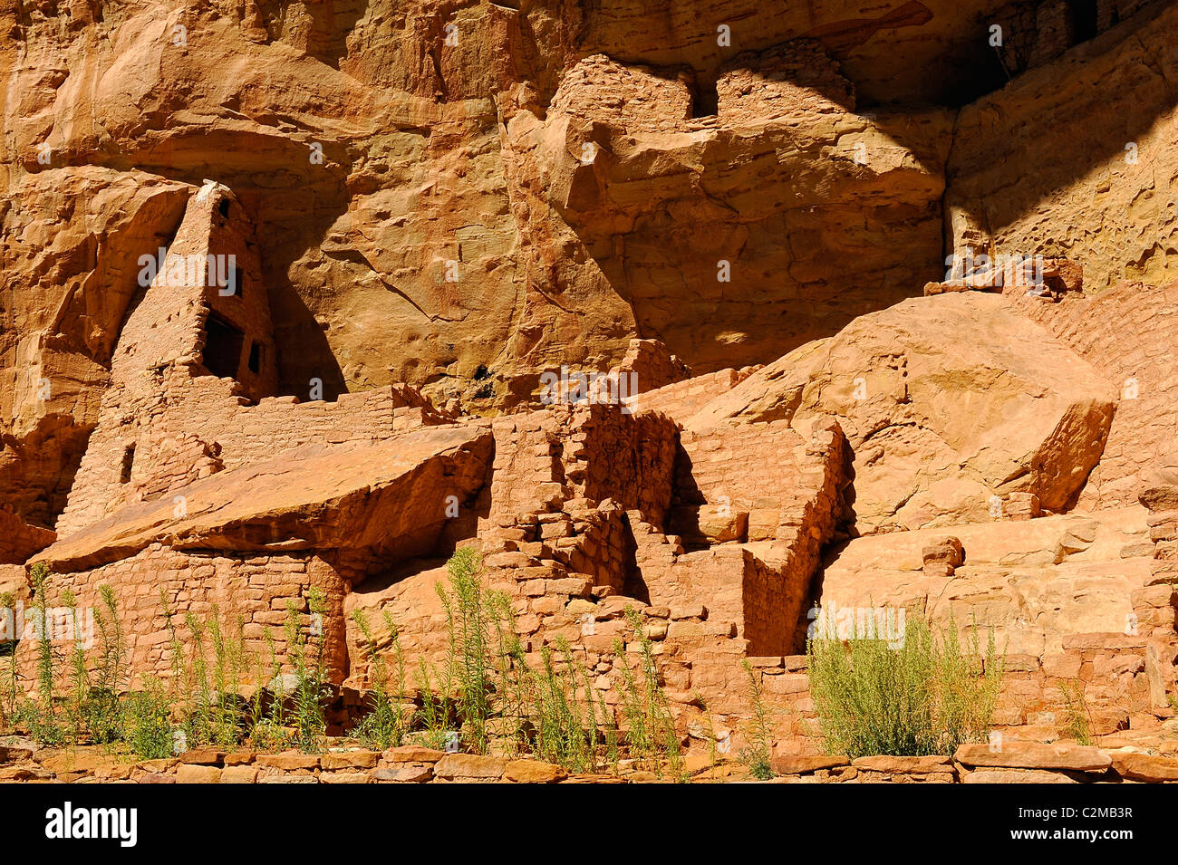 Long House, cliff dwelling in Mesa Verde National Park Stock Photo - Alamy