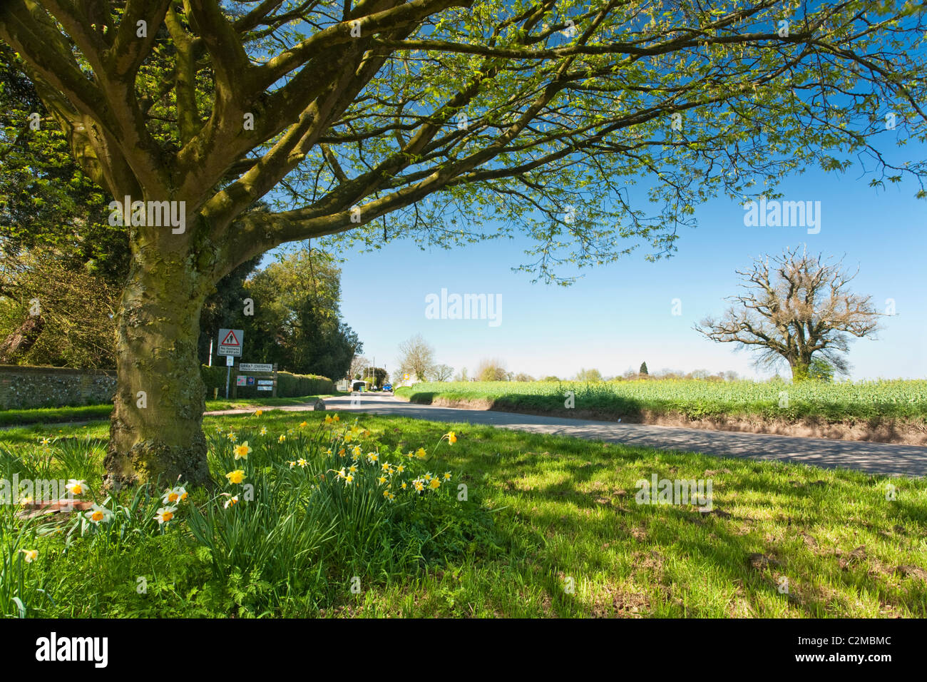 The highest point of Cambridgeshire a spot off the B1039 outside the