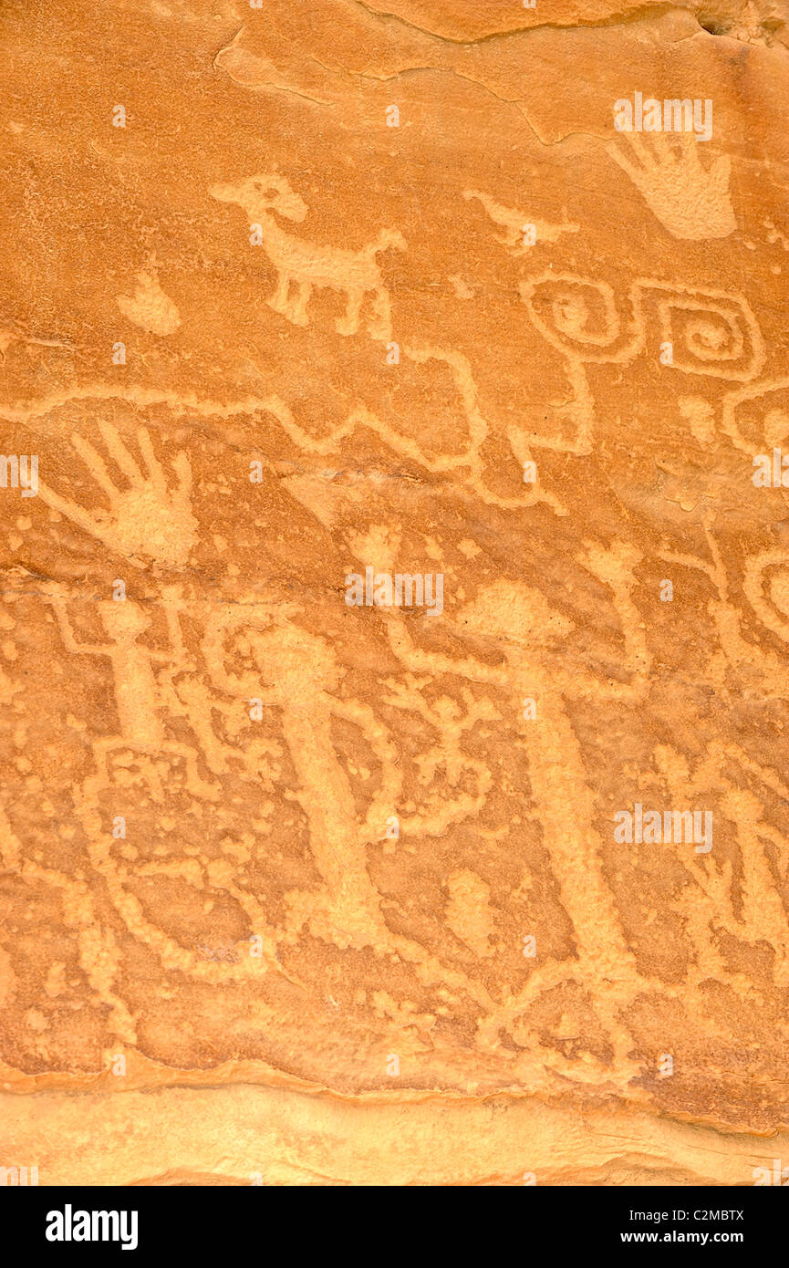 Petroglyph's engraved on a rock surface, Mesa Verde National Park Stock Photo