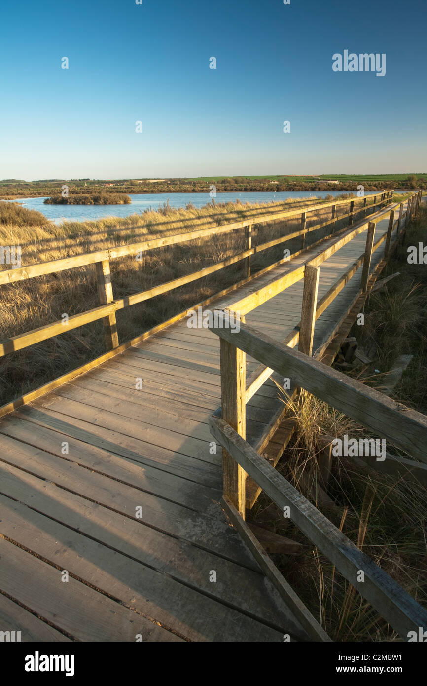 RSPB reserve at Titchwell, Norfolk, Uk Stock Photo Alamy