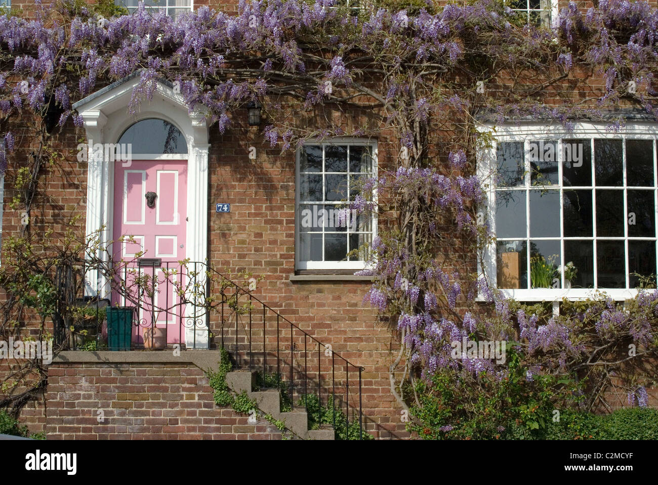 House with wisteria, Kew, London Stock Photo