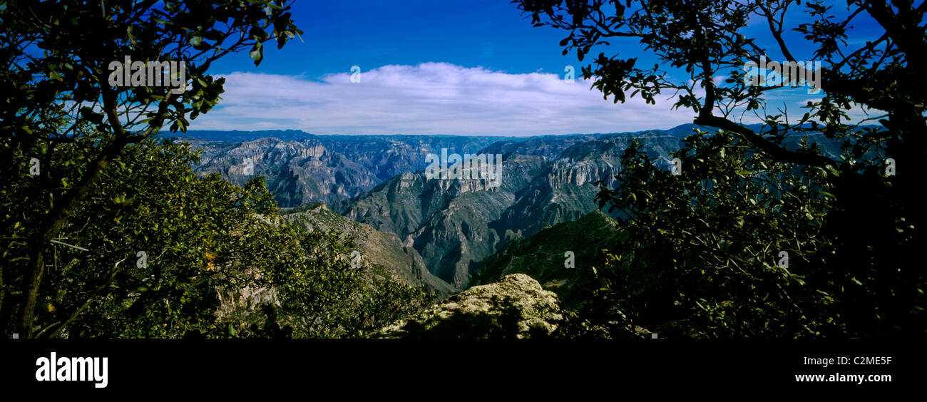 The Copper Canyon is a group of canyons in the Sierra Tarahumara in the state of Chihuahua in Mexico. Near Divisadero, a town Stock Photo