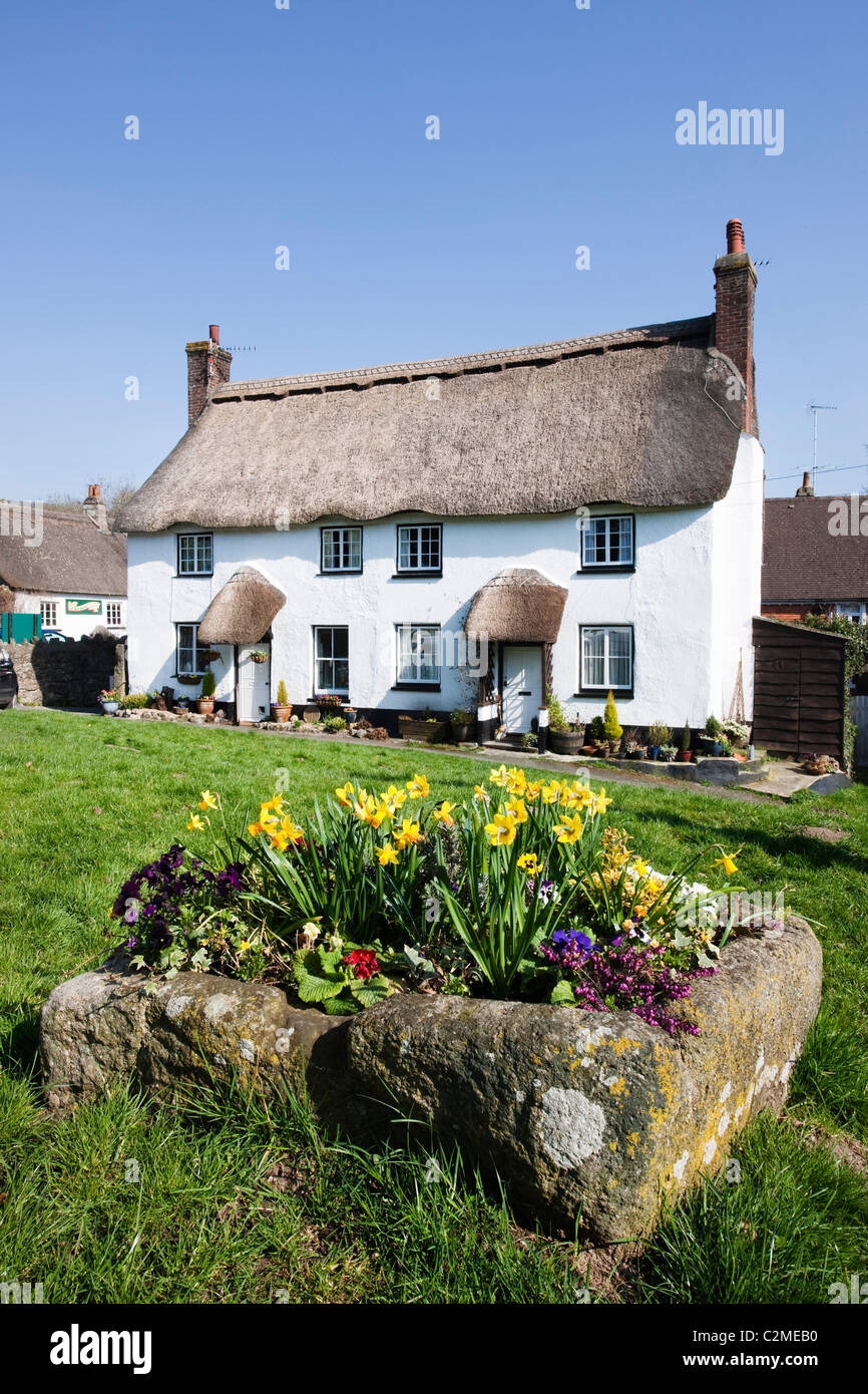 Thatched cottages on the village green in Lustleigh, Dartmoor, Devon, England UK Stock Photo