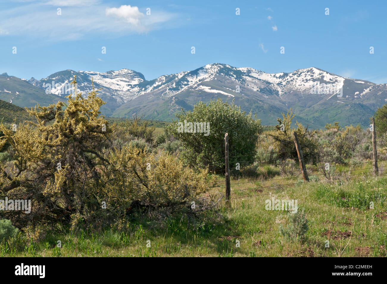 Nevada, Lamoille Valley, Ruby Mountains Stock Photo