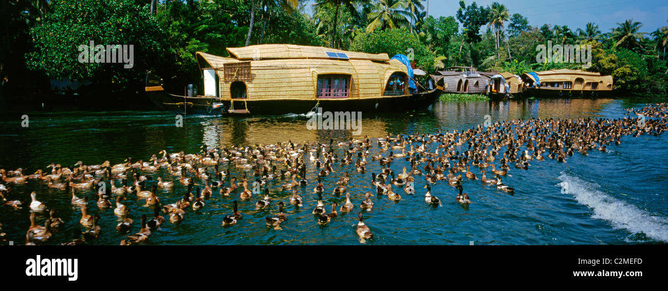 Kettuvallom Houseboat, Kumarakom Backwaters, Kerala, India Stock Photo