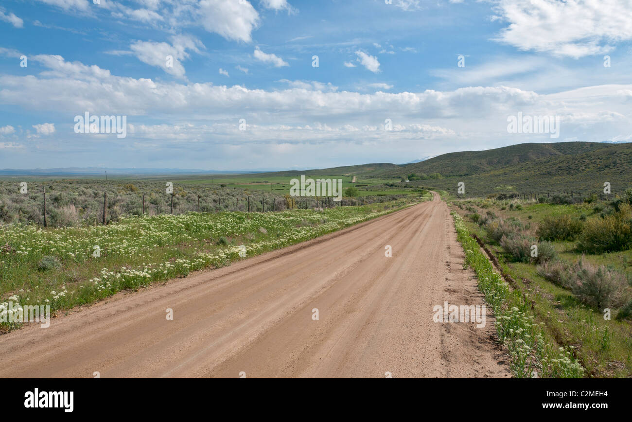 Nevada, Lamoille Valley, graded ranch road Stock Photo