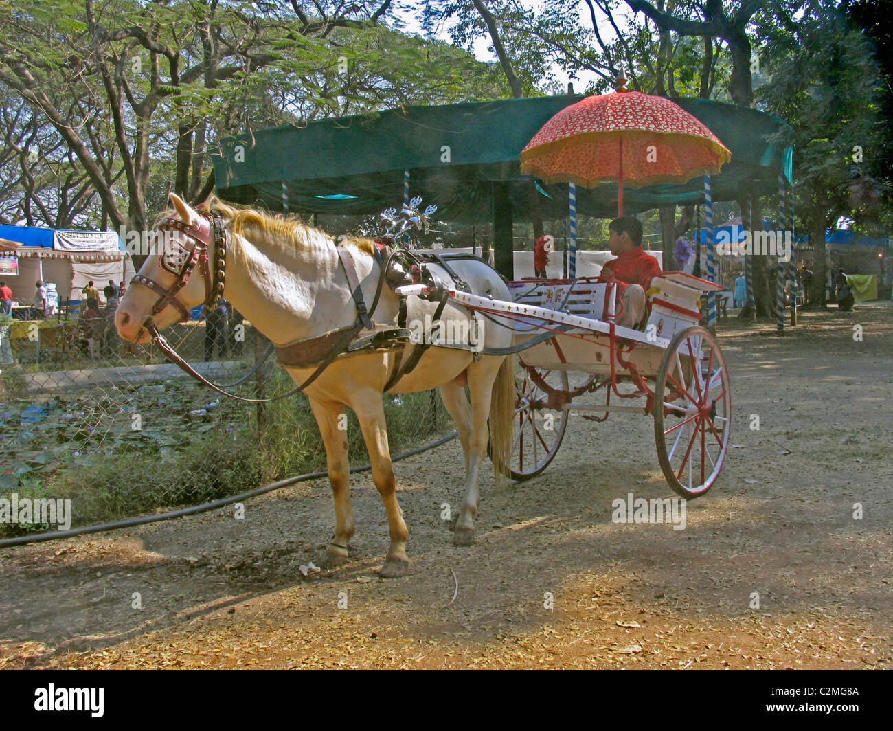A Horse cart in a garden, Empress garden, Pune, Maharashtra, India Stock Photo