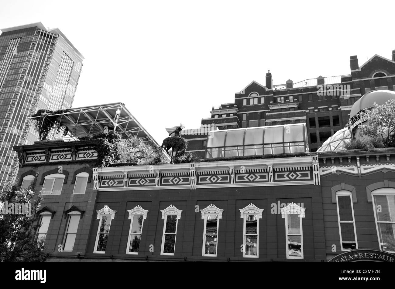 Rooftop restaurant, Fort Worth, Texas Stock Photo Alamy