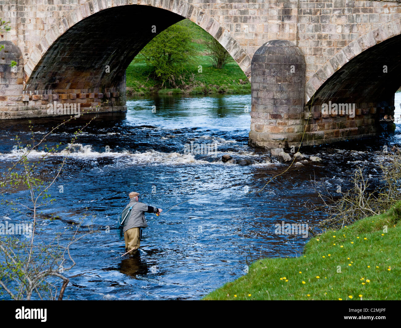 Trout Fishing on the River Ribble at Mitton Bridge, Clitheroe, Lancashire, England, UK Stock