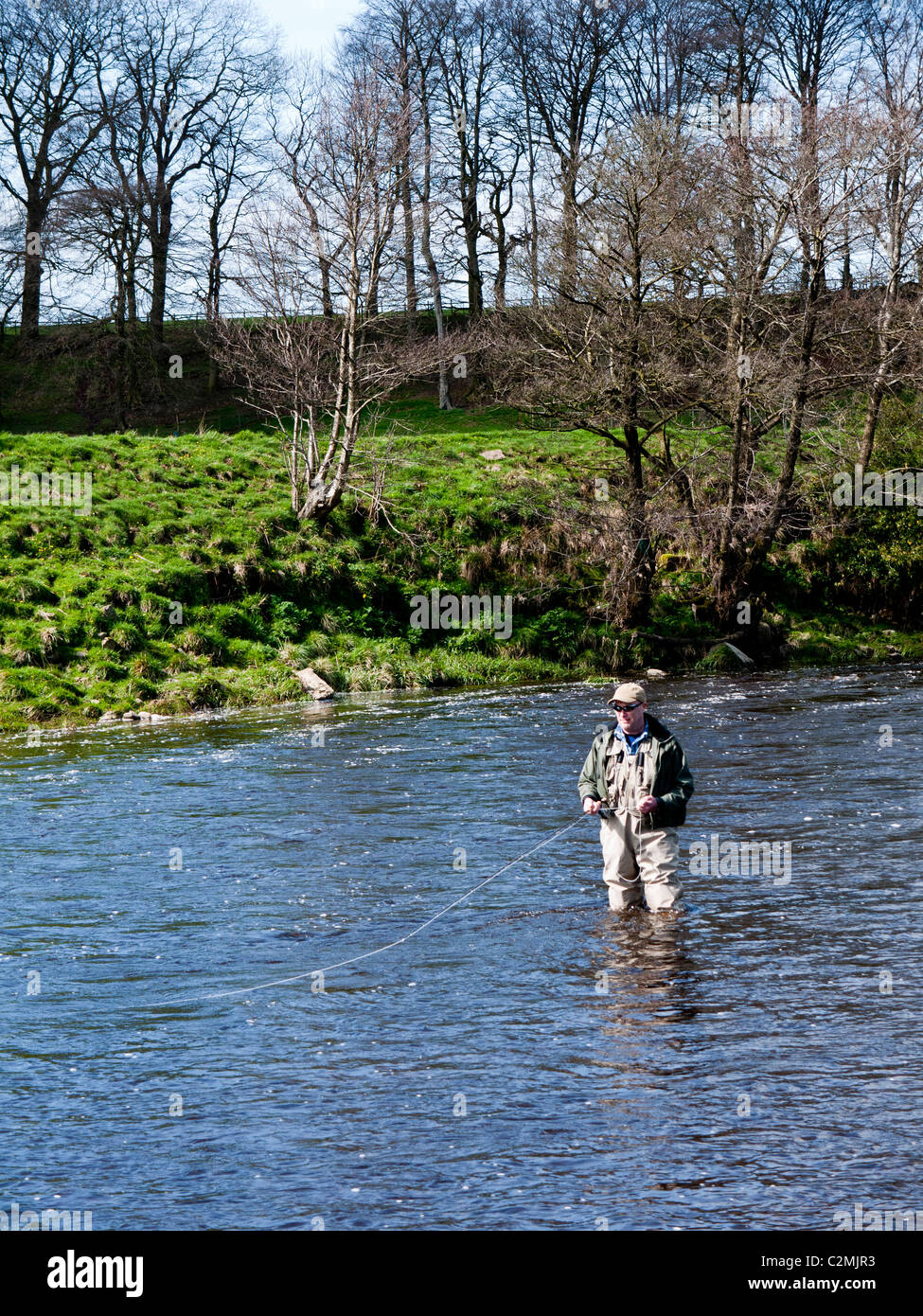 Trout Fishing on the River Ribble at Little Mitton, Clitheroe Stock Photo - Alamy