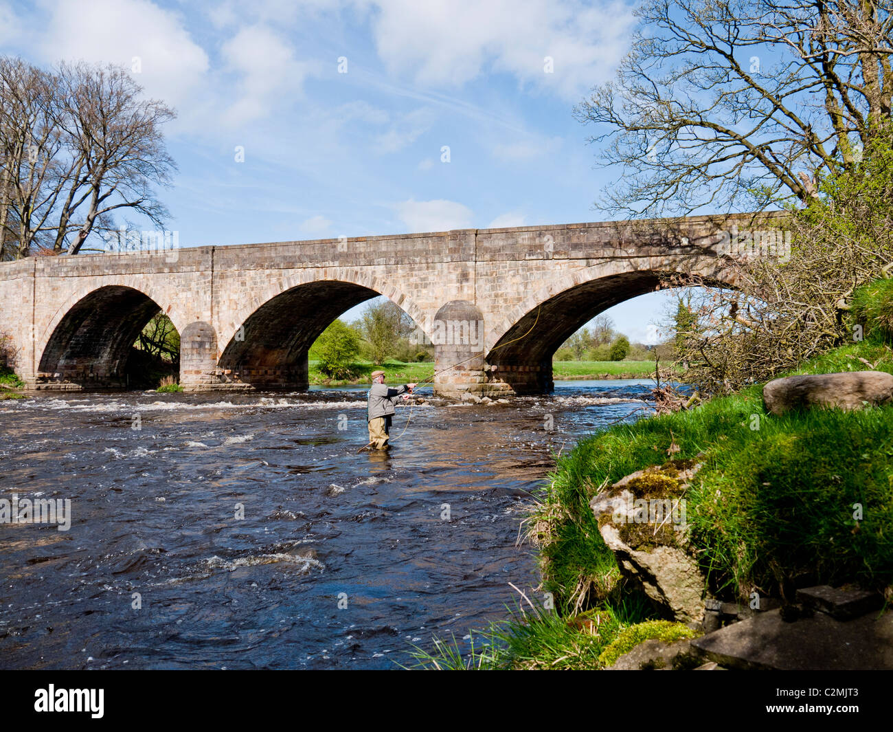 Fly Fishing on the River Ribble at Mitton Bridge, Clitheroe, Lancashire, England, UK Stock Photo