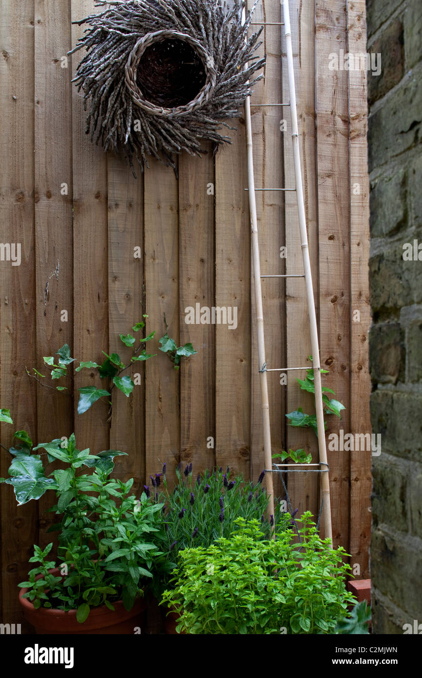 Suburban Garden. Cane ladder and woven twig decoration on close-boarded fence Stock Photo