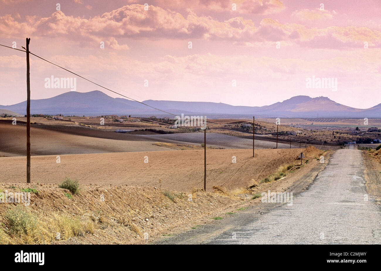Castilla-la Mancha, road through landscape near Mora. Stock Photo
