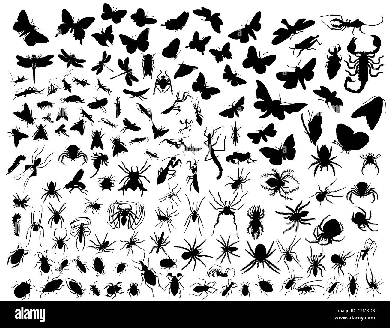 Big collection of different vector insects silhouettes Stock Photo