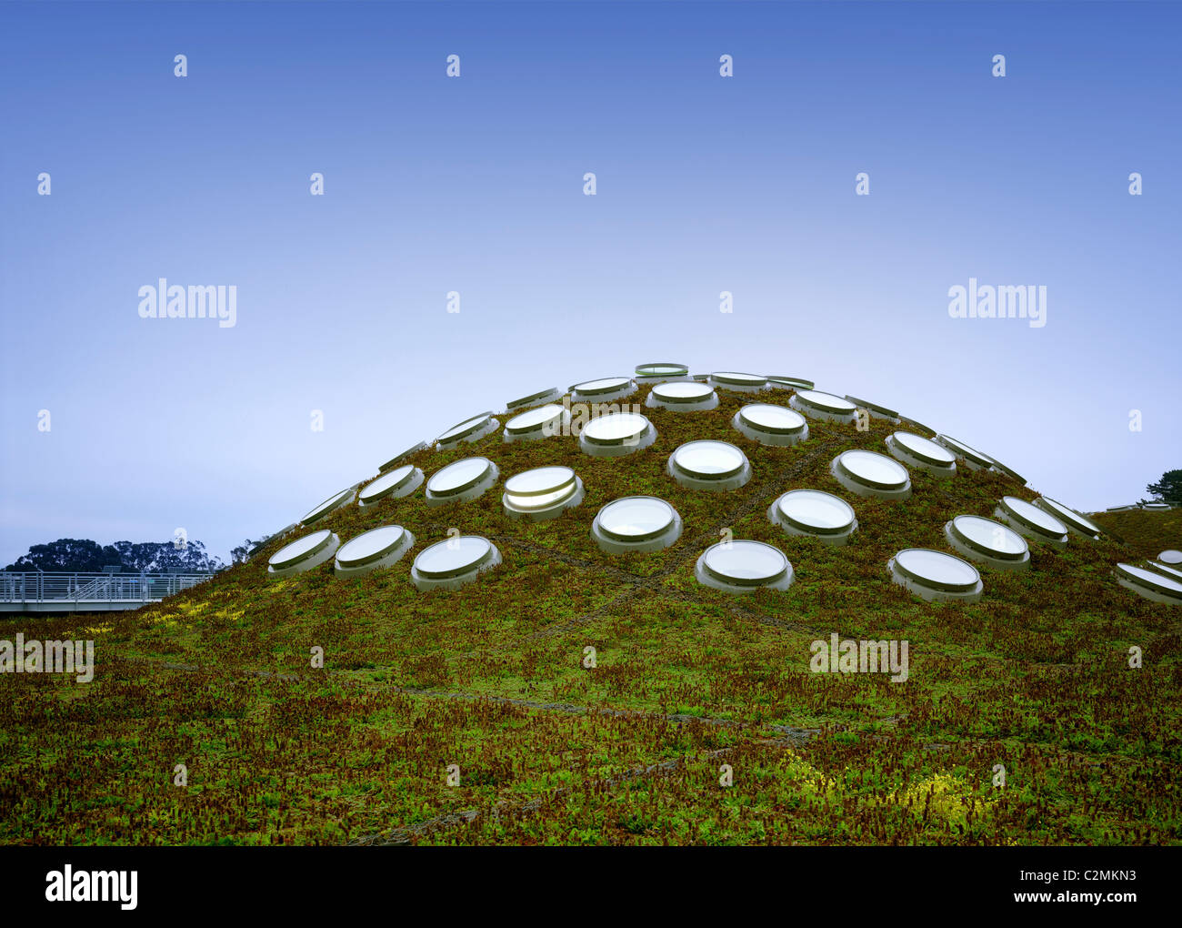 California Academy of Sciences, Exterior grass dome with skylights Stock Photo