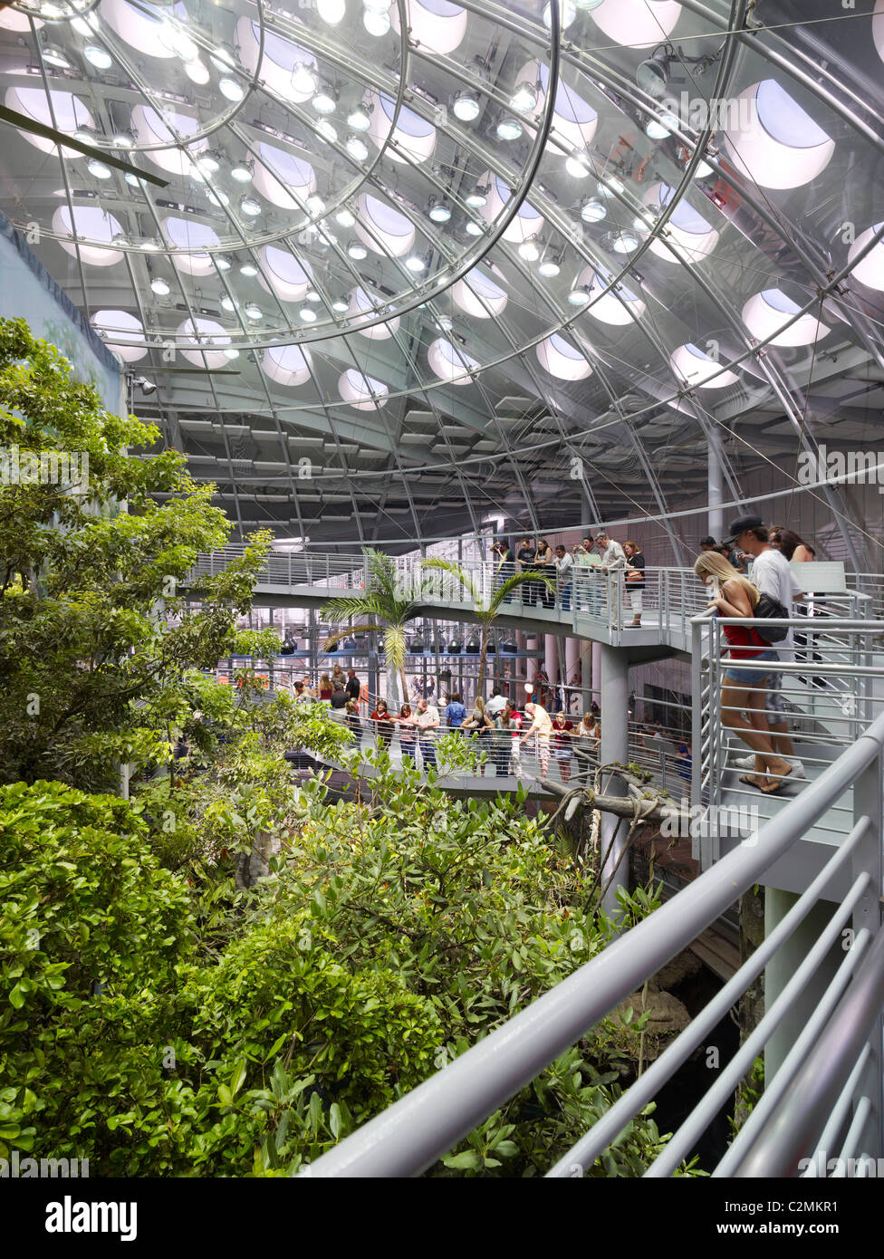 California Academy of Sciences. Interior showing ceiling Stock Photo