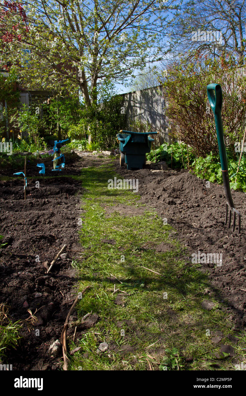sowing seeds in Urban vegetable patch in domestic english garden Stock Photo