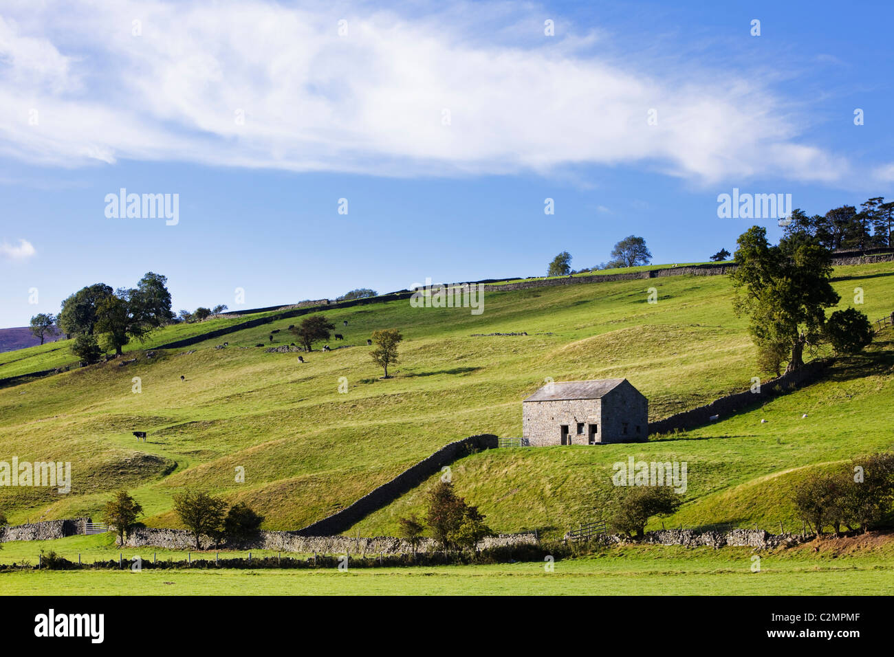 Barn in countryside in Swaledale, Yorkshire Dales National Park, North Yorkshire, England UK Stock Photo