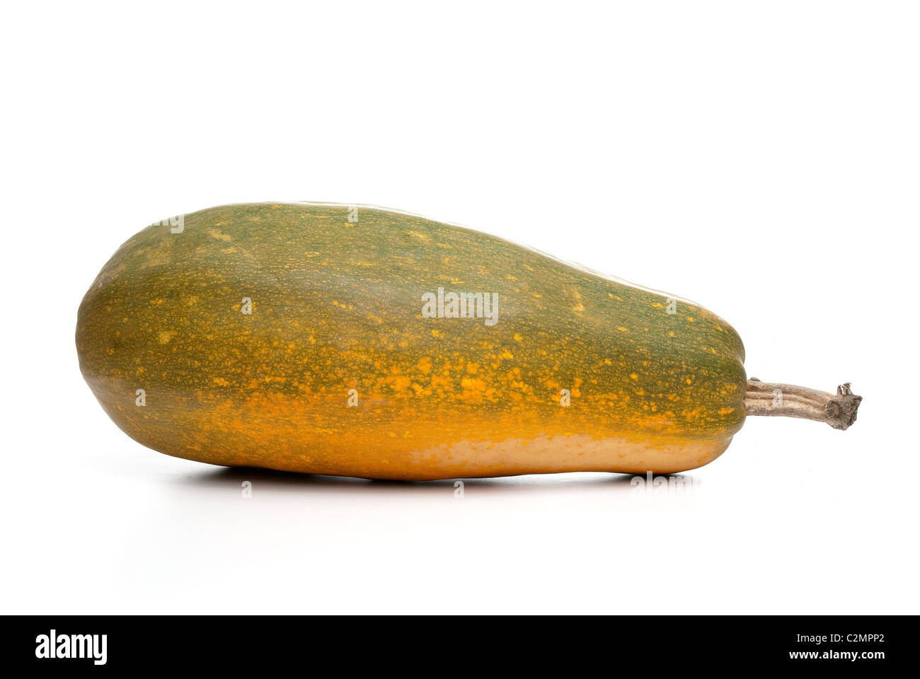 Single fresh pumpkin isolated on white background Stock Photo - Alamy