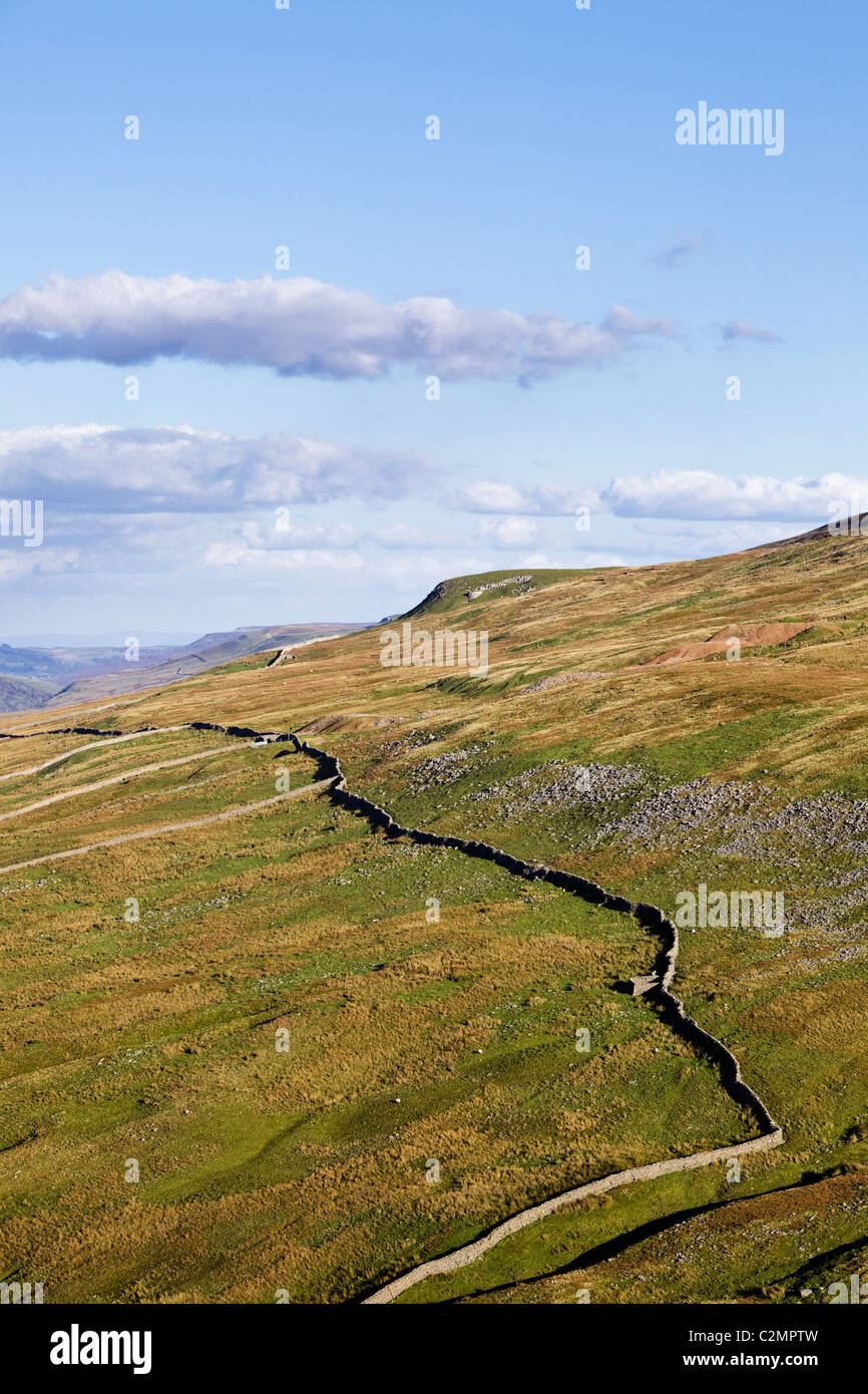 Pattern of dry stone walls, Yorkshire Dales, England UK Stock Photo