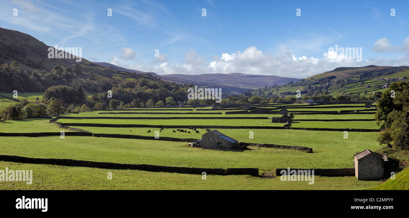Fields at Gunnerside valley bottom in Swaledale, Yorkshire Dales, North Yorkshire, England, UK - panorama Stock Photo