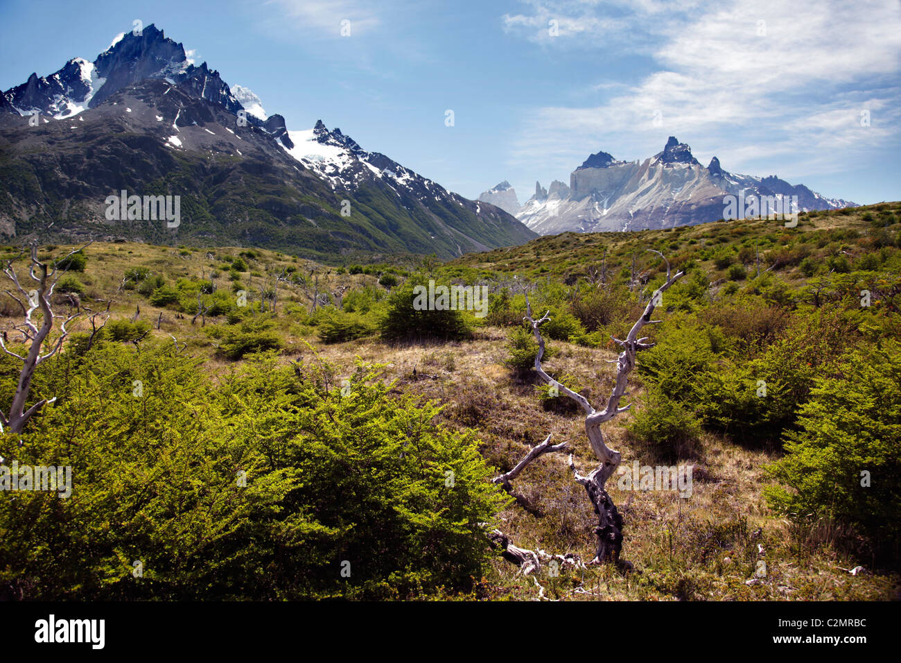 Views of Torres del Paine, Patagonia, Chile, South America. Stock Photo