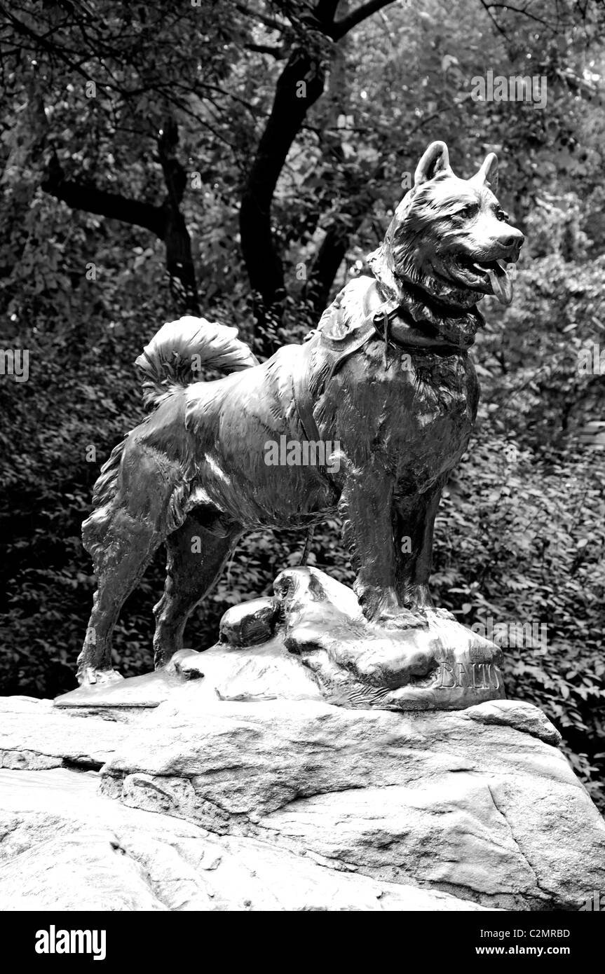 Balto the sled dog statue by Frederick Roth in Central Park, New York