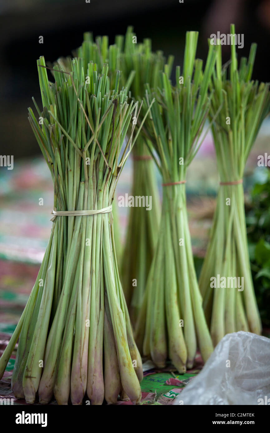 Thailand herb vegetable sale on the local market, Lampang Thailand