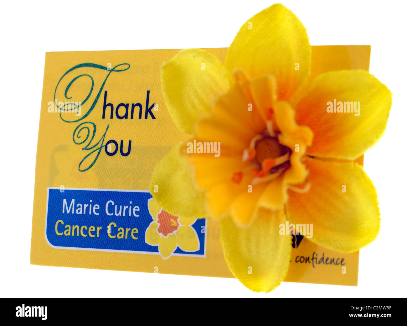 Yellow thankyou receipt card for a donation to Marie Curie cancer care. EDITORIAL ONLY Stock Photo