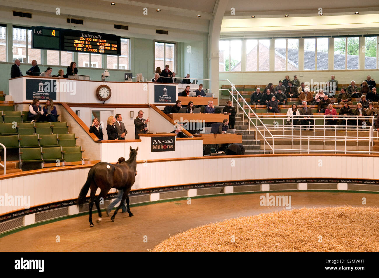 Auction ring hires stock photography and images Alamy