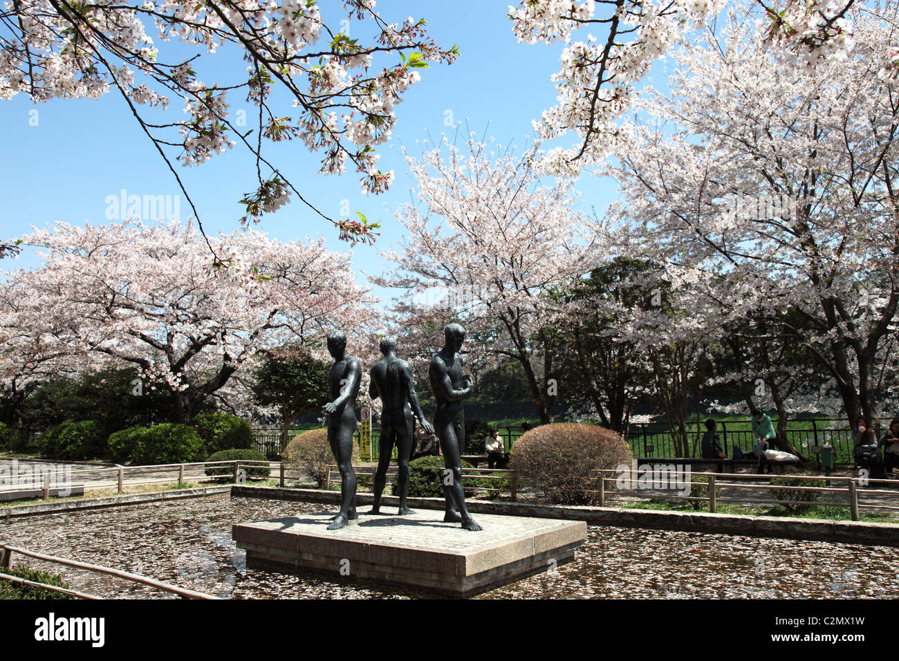 Chidorigafuchi Park, cherry blossom, Tokyo Japan Stock Photo - Alamy