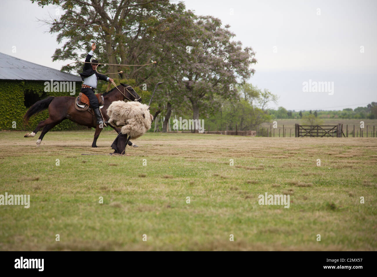 Stream Lasso gaucho en Argentine by BloupTrotters_blog