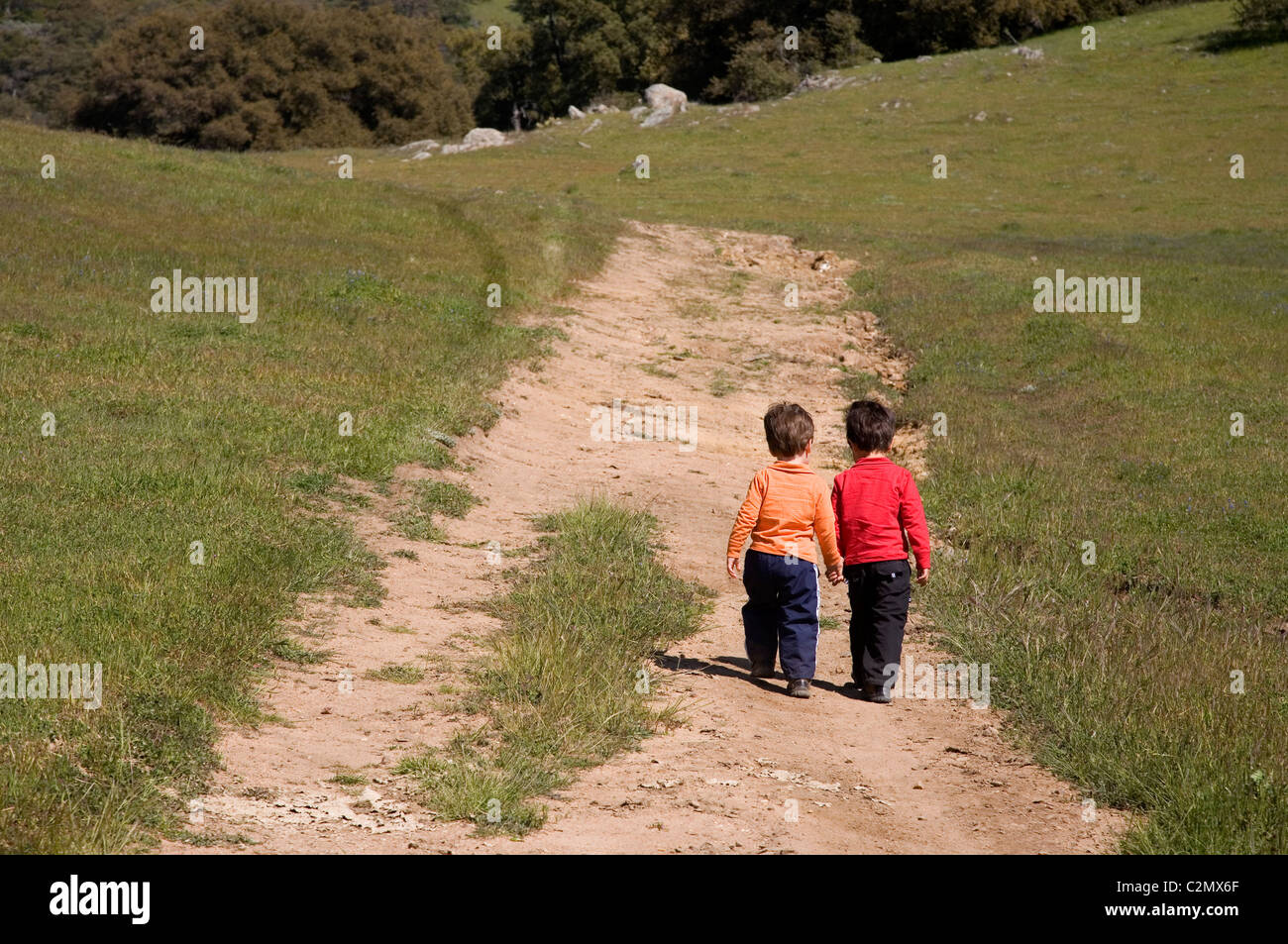 Two brothers hiking on a trail, 3 and 4 years old, Santa Ysabel Open Space, San Diego County, California (MR) Stock Photo
