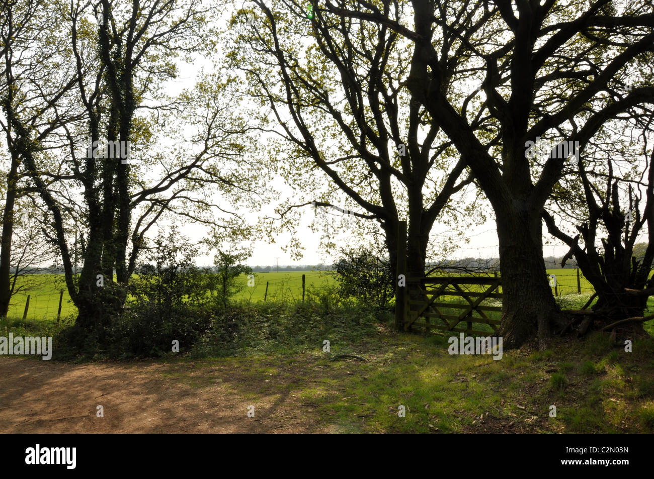 Farmers field with trees hi-res stock photography and images - Alamy