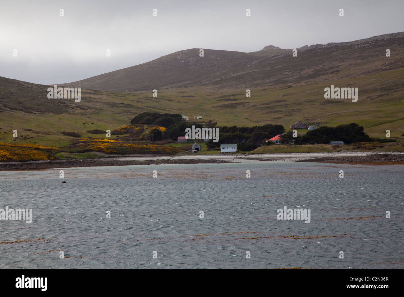 The small settlement on Carcass Island, West Falklands Stock Photo