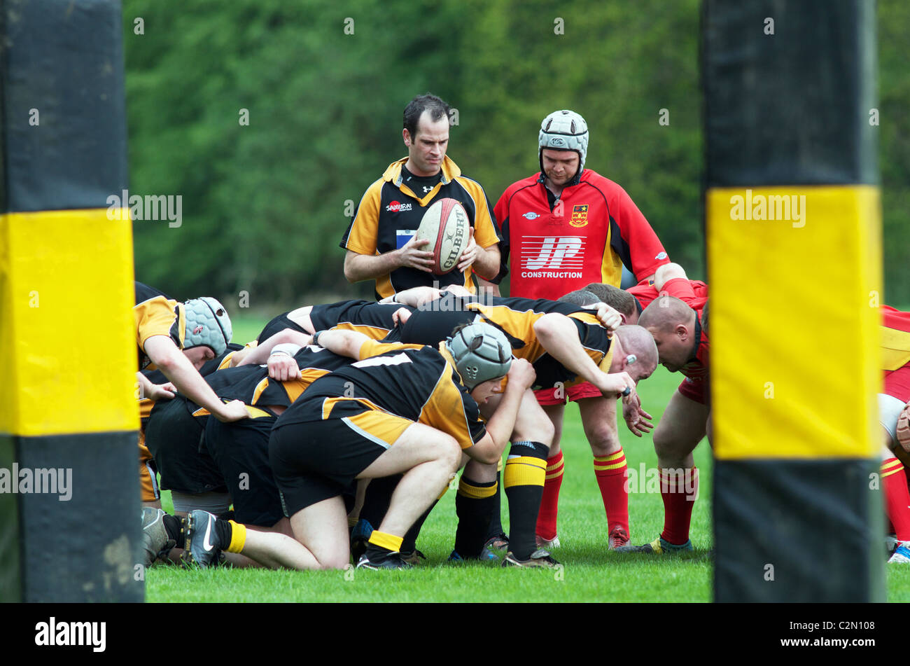 scrum-half waits before putting the ball into the scrum Stock Photo
