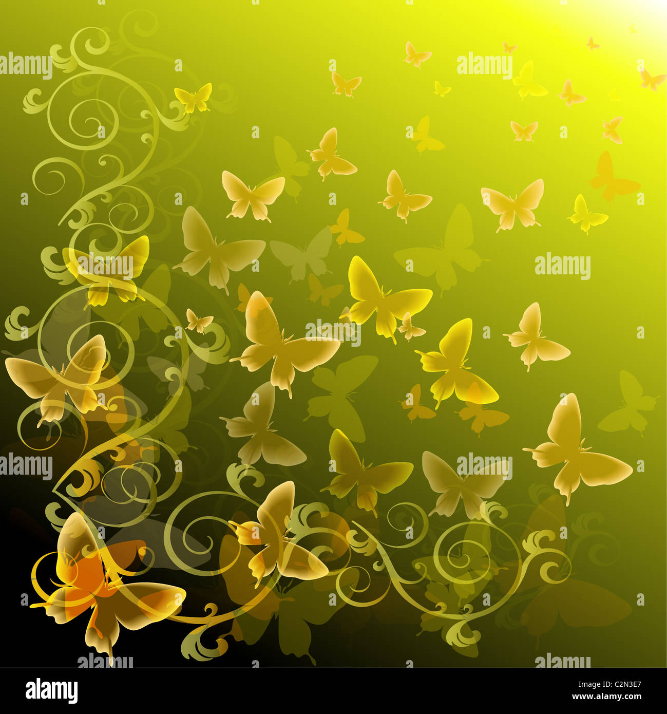 Abstract colorful background with butterflies. A vector Stock Photo - Alamy