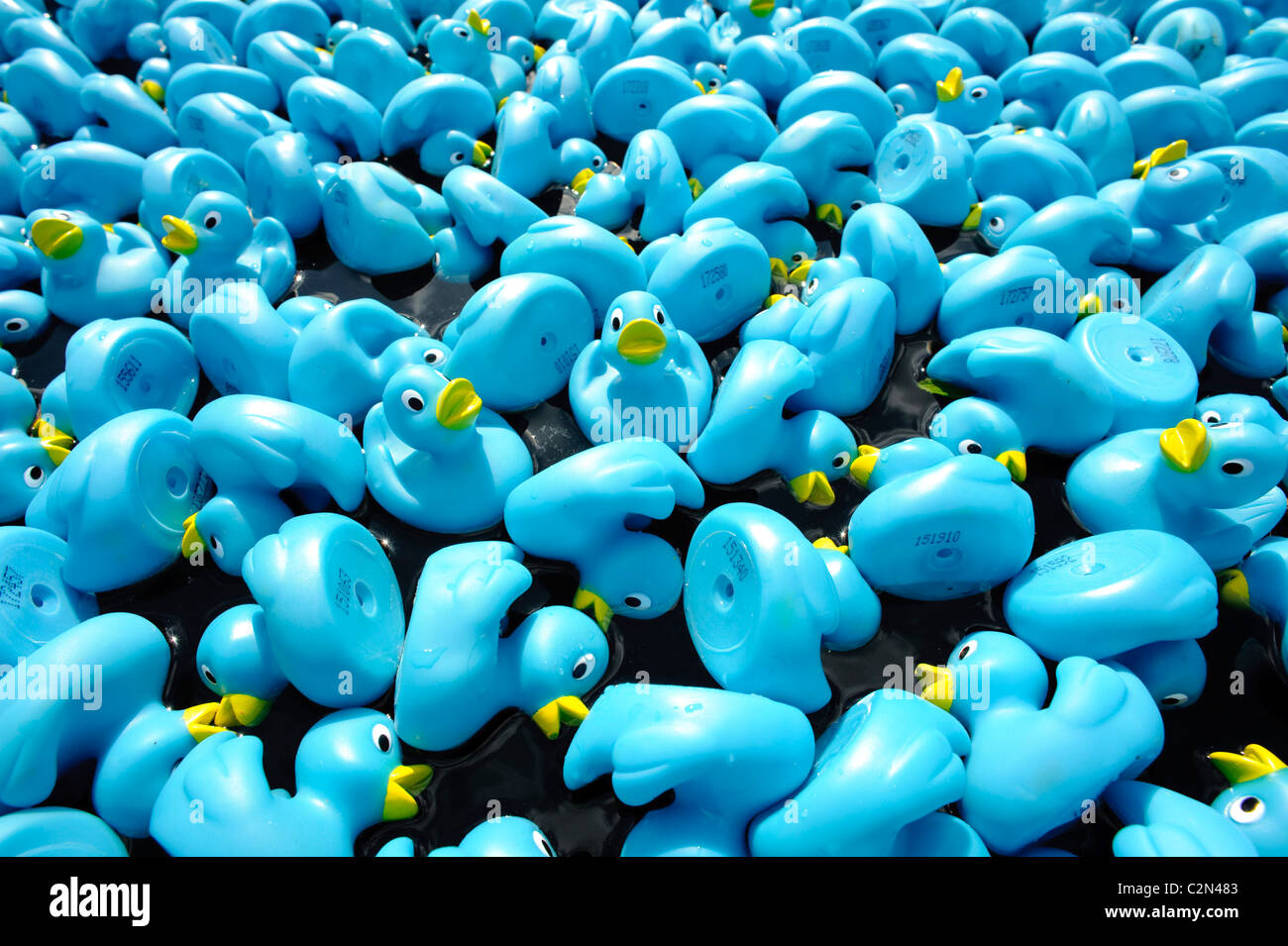 The Guinness World Record for the “Largest Plastic Duck Race” was set last year, when 175,000 ducks raced down the River Thames. Stock Photo