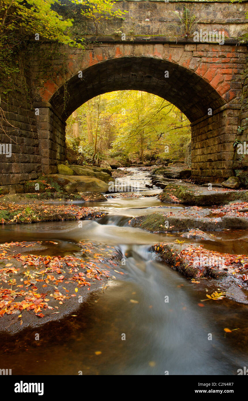 Bridge over May Beck in autumn at Sneaton forest, North Yorkshire, UK Stock Photo