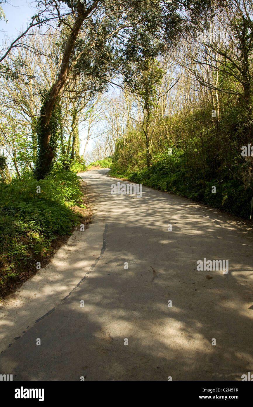 Tree lined road Herm island Channel islands Stock Photo