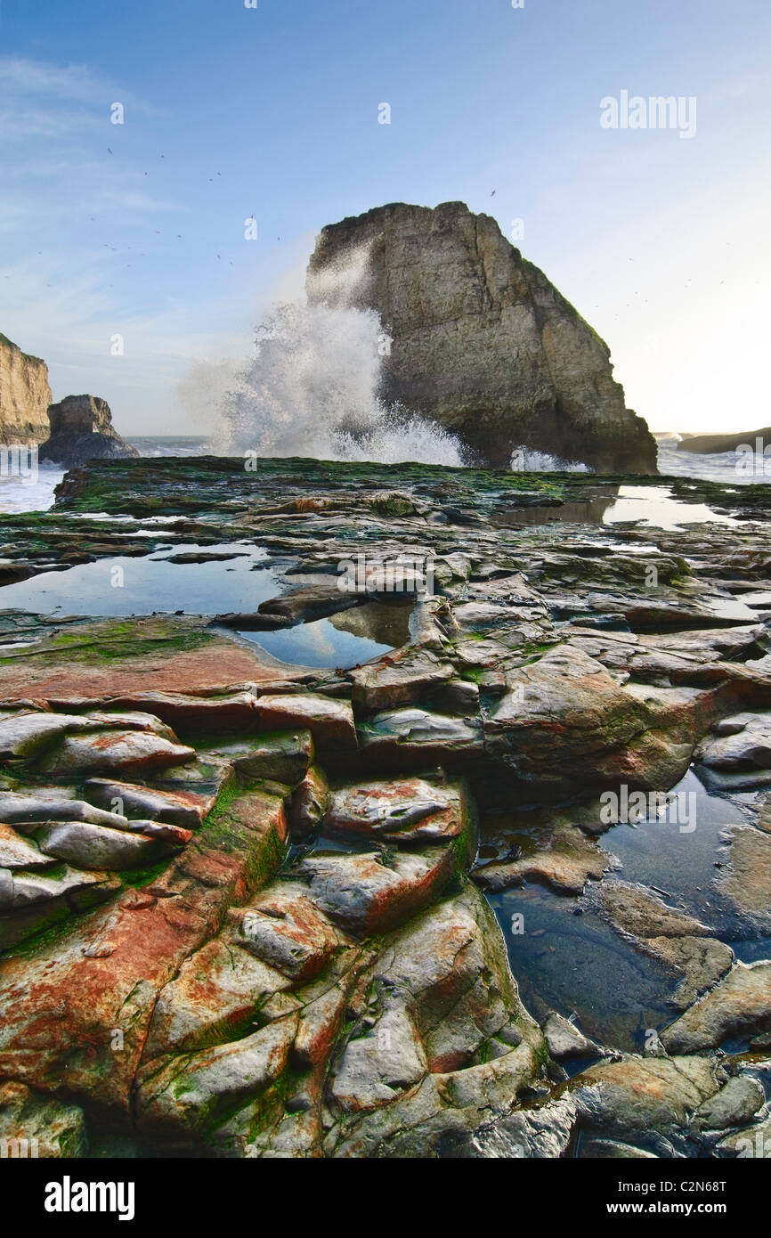 Dramatic view of Shark Fin Cove. Stock Photo